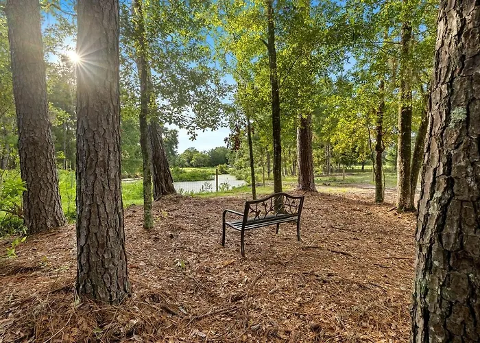 Serene And Cozy Cabin Near Gilchrist Blue Springs, Perfect For A Small Town Florida Getaway